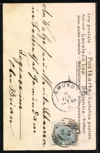 Künstler-AK R. Kratky: Als Fee verkleidete Frau zwischen Kleeblättern