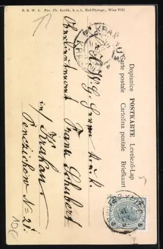 Künstler-AK Charles Scolik: Prosit Neujahr! Schornsteinfeger mit Ausrüstung und Schweinen