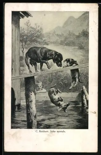 Künstler-AK Carl Reichert: Hunde haben Spass beim Salto von einem Holzbrett ins Wasser