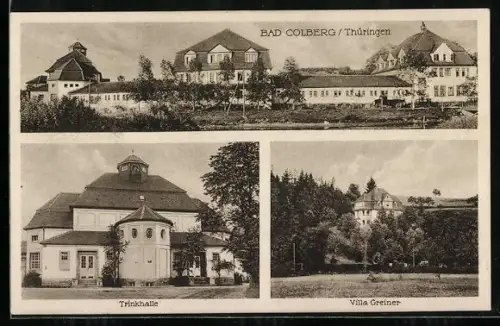 AK Bad Colberg, Trinkhalle, Villa Greiner, Blick zum Ort