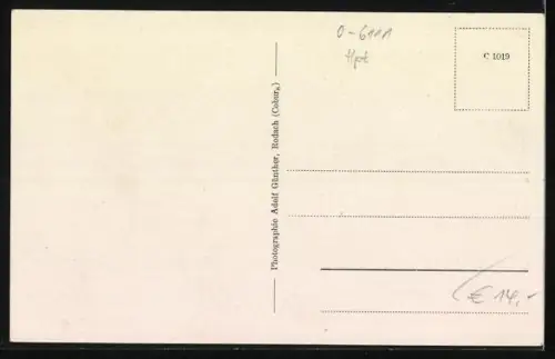 AK Bad Colberg, Trinkhalle, Villa Greiner, Blick zum Ort