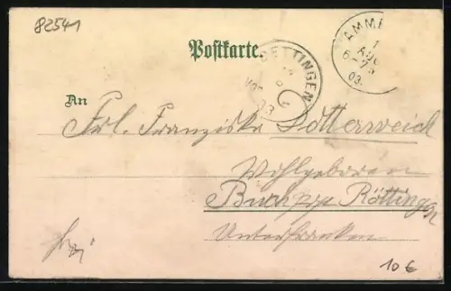 Lithographie Ammerland, Ortsansicht vom Ufer aus, Dampfer