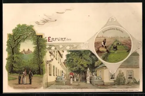 Lithographie Erfurt, Durchblick im Steiger & Steigergarten mit Brunnenkress-Kulturen