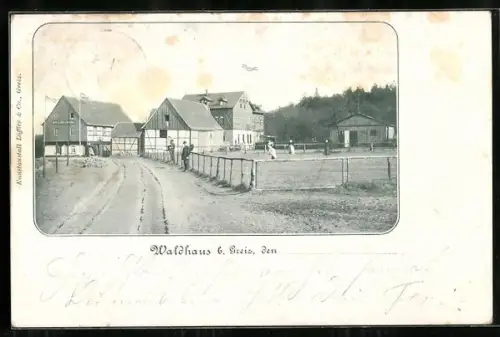 AK Waldhaus b. Greiz, Strassenpartie mit Fachwerkhäusern