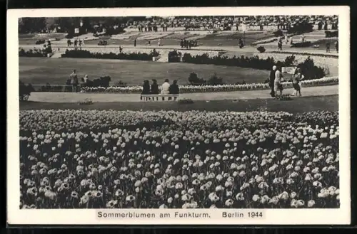 AK Berlin, Ausstellung Sommerblumen am Funkturm, 1944