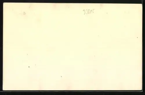 AK Berlin, Ausstellung Sommerblumen am Funkturm, 1944