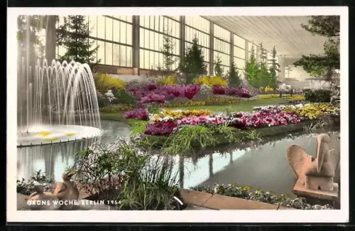 AK Berlin, Grüne Woche 1954, Teich- und Springbrunnenansichten