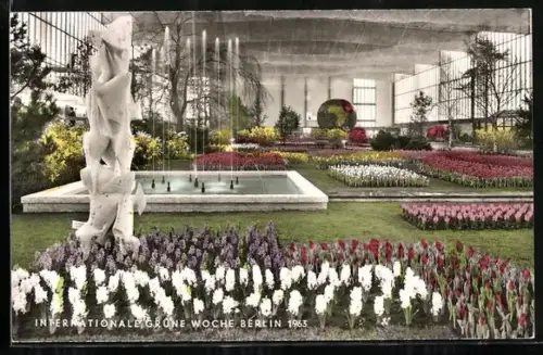 AK Berlin, Ausstellung Internationale Grüne Woche, 1963