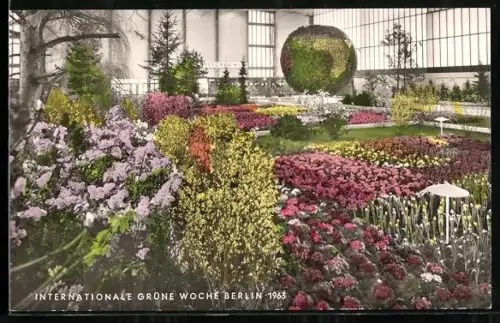 AK Berlin, Ausstellung Internationale Grüne Woche, 1963