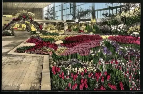 AK Berlin, Internationale Grüne Woche, 1964