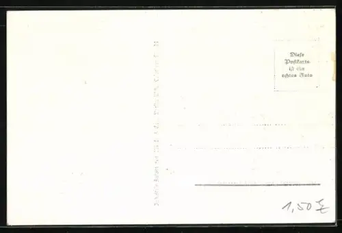 AK Berlin, Ausstellung Sommerblumen am Funkturm mit Orchideen-Schau
