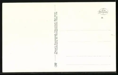 AK Essen, Reichsgartenschau, 1938, Wasserspiele auf den Schmuckterrassen bei Nacht