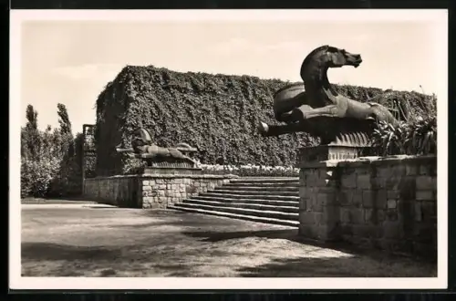 AK Essen, Ausstellung im Grugapark