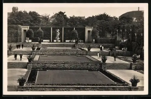 AK Essen, Grugapark, Die Farbenterrassen