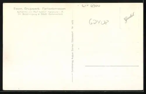 AK Essen, Grugapark, Die Farbenterrassen