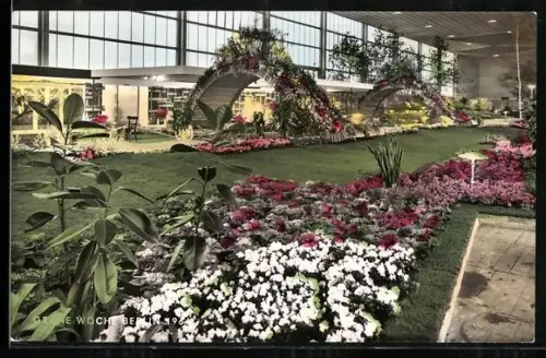 AK Berlin, Ausstellung Grüne Woche, 1964