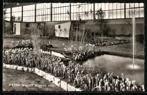 AK Berlin, Ausstellung Grüne Woche, 1962