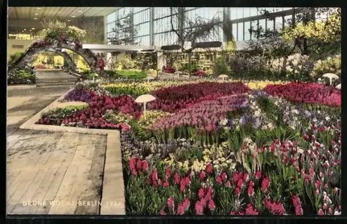 AK Berlin, Ausstellung Grüne Woche, 1964