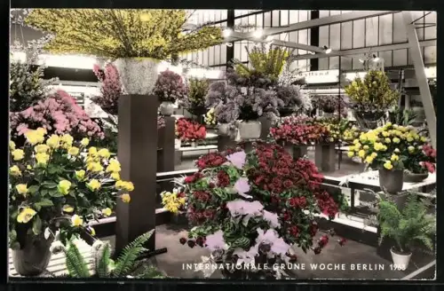 AK Berlin, Internationale Grüne Woche 1963, Hollandhalle mit Blumenarrangements