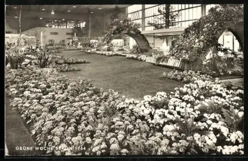 AK Berlin, Ausstellung Grüne Woche, 1964