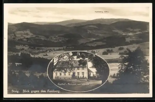 AK Steig, Blick gegen den Feldberg, Gasthof und Pension zum Löwen