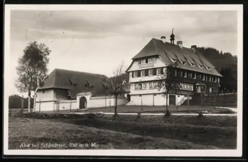 AK Aha / Schluchsee, Gasthaus und Pension Auerhahn