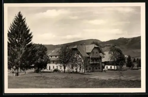 AK Bernau / Hochschwarzwald, Gasthof-Pension Rössle