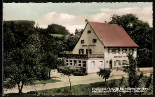 AK Stegen bei Freiburg, Gasthaus zum Hirschen von Emil Metzger