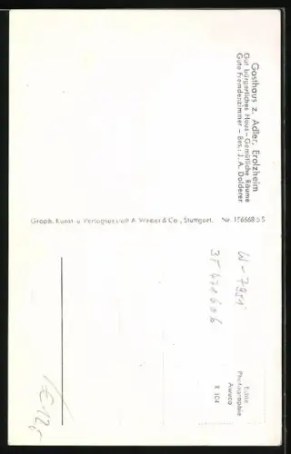 AK Erolzheim, Gasthaus zum Adler, Inh. A. Dolderer, Aussenansicht, Gaststube