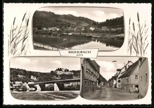 AK Mühlbach /Main, Mainansicht, Brücke, Ortsstrasse