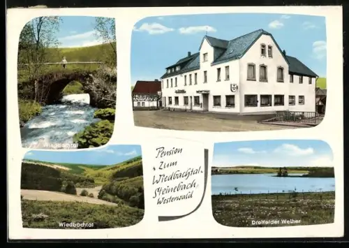 AK Steinebach /Westerwald, Pension Zum Wiedbachtal, Bes. Karl-Ernst Simon