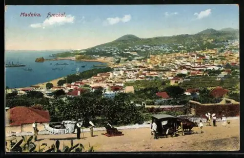 AK Funchal /Madeira, Panorama