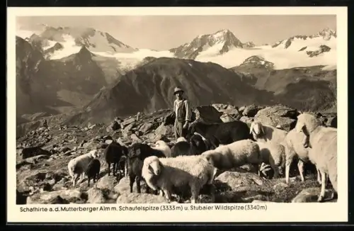 AK Schafhirte a.d. Mutterberger Alm mit Schaufelspitze