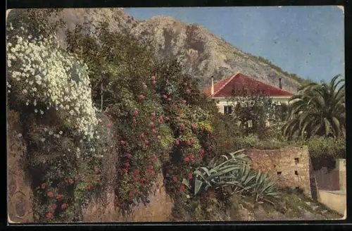 Künstler-AK Photochromie Nr. 2654: Riviera di Ponente, Mentone, Ortsansicht im Frühling