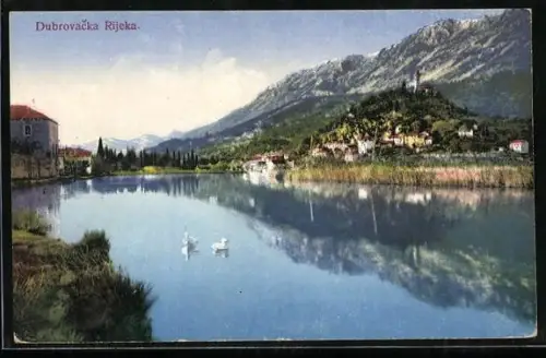 AK Dubrovnik, Partie an der Rijeka