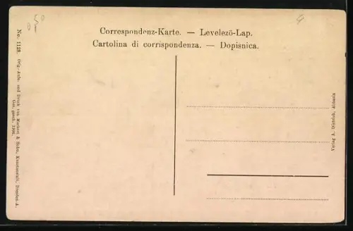 AK Abbazia, Slatina Seebad, Villen am Südstrand