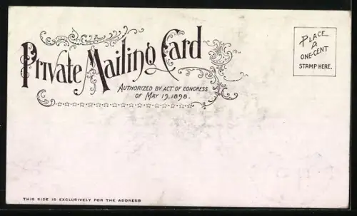 AK New York, NY York, NY, Brooklyn Bridge, US-Flags