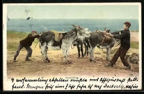 AK Opposition, Zwei Knaben mit störrischen Eseln am Strand