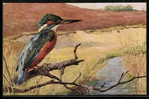 Künstler-AK Eisvogel an einem Fluss in der Lüneburger Heide