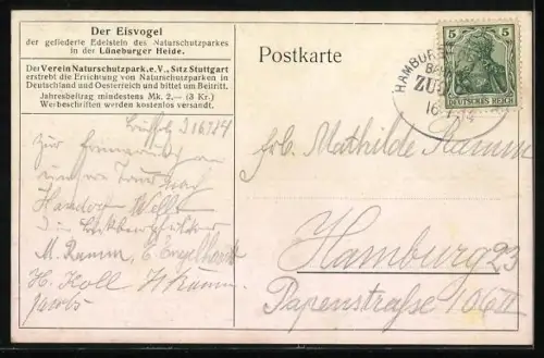 Künstler-AK Eisvogel an einem Fluss in der Lüneburger Heide