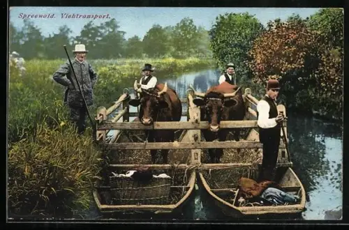AK Viehtransport im Spreewald