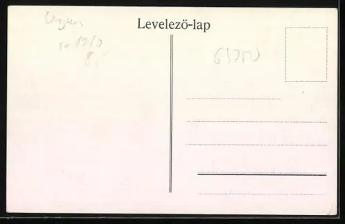 AK Segesvár, Villa - Herrenhaus