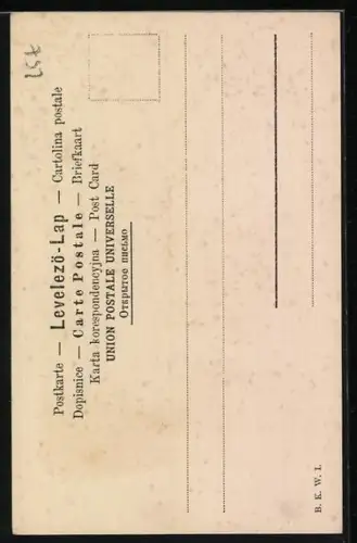 AK Italienischer Unabhängigkeitskrieg, Portrait Garbaldi in Uniform