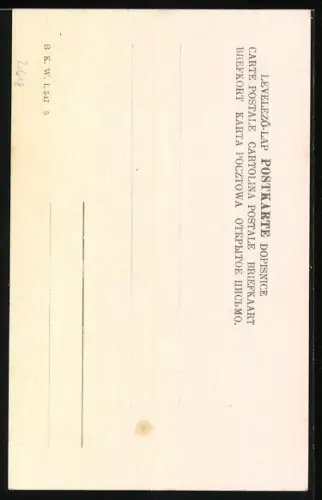 Künstler-AK Adolf Karpellus: Bosnien, Sitzende Frau in Tracht