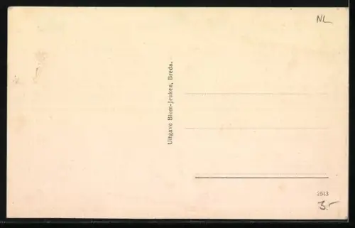 AK Breda, Delpratsingel