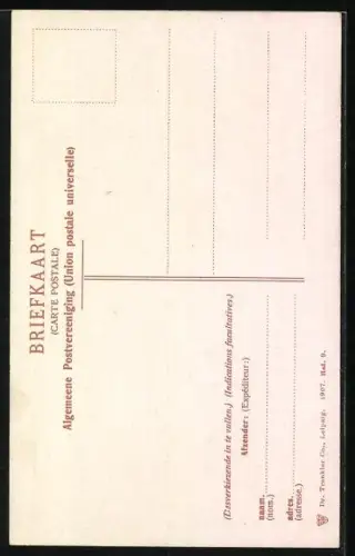 AK Haarlem, Vleeschal