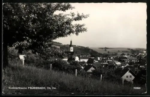 AK Peuerbach /Ob. Oe., Panorama mit Kirche