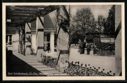 AK Bad Schallerbach /O.-Oe., Wandelgang und Quelle