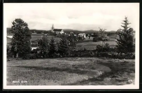 AK Sandl /O.Oe., Panorama mit Kirche