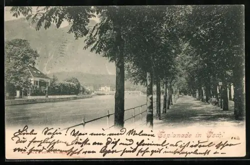 AK Ischl, Esplanade am Ufer